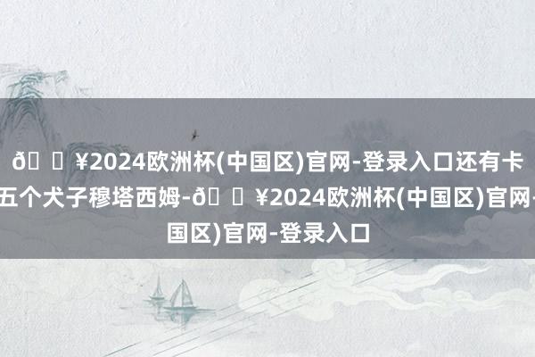 🔥2024欧洲杯(中国区)官网-登录入口还有卡扎菲的第五个犬子穆塔西姆-🔥2024欧洲杯(中国区)官网-登录入口