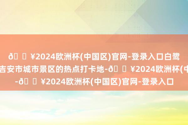 🔥2024欧洲杯(中国区)官网-登录入口白鹭洲书院景区成为本年吉安市城市景区的热点打卡地-🔥2024欧洲杯(中国区)官网-登录入口